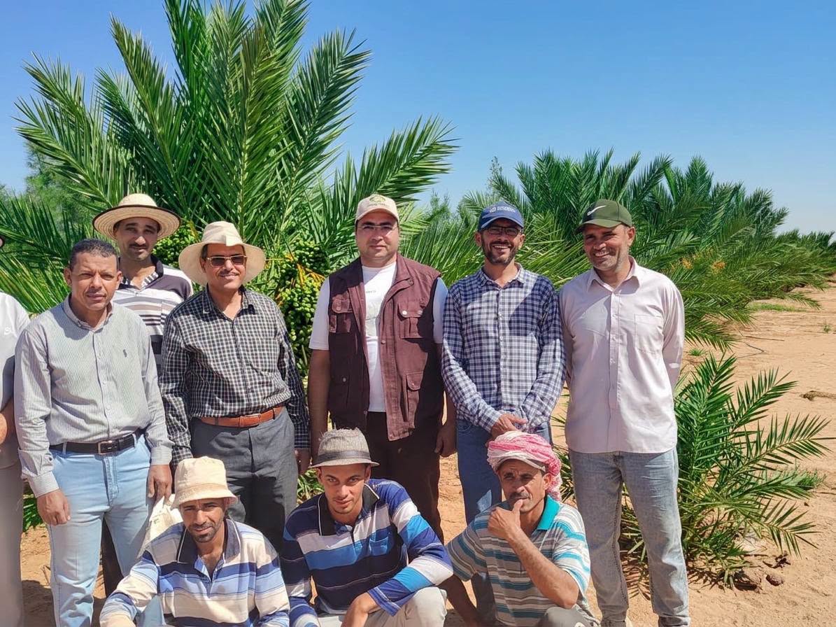 المحاضرات الإرشادية
