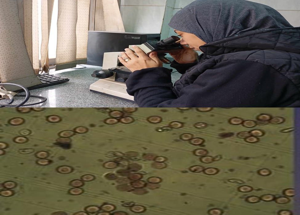 حيوية حبوب اللقاح