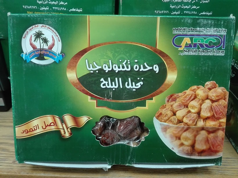 ثمار التمور - اضغط للتكبير